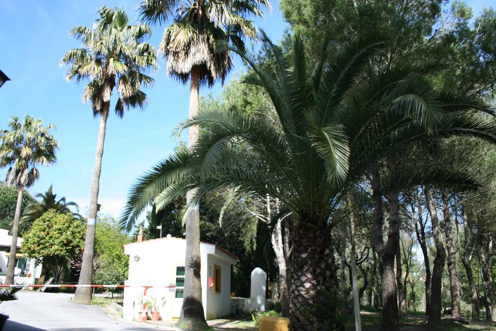 Bungalows Y Glamping Medina Sidonia Екстериор снимка