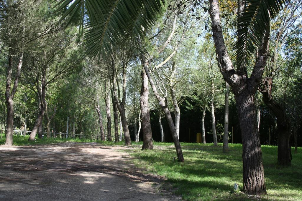 Bungalows Y Glamping Medina Sidonia Екстериор снимка